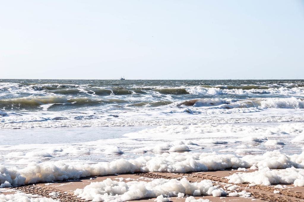 דירות זנדוורט Berrie'S Sea View מראה חיצוני תמונה